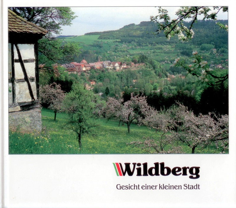 Buch: Wildberg - Gesicht einer kleinen Stadt (Margarethe Baumgärtner)